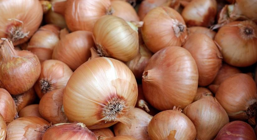 Áruhiány alakult ki Hollandiában a tavalyi és az idei hagymaszezon között
