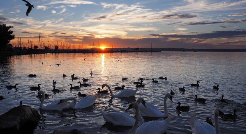 Kvíz: a Balaton északi vagy déli partján van-e ez a 10 település? Már az 1. kérdés megizzaszt