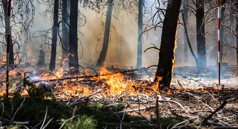 Több helyen is lángoltak az erdők, sorra érkeztek a riasztások