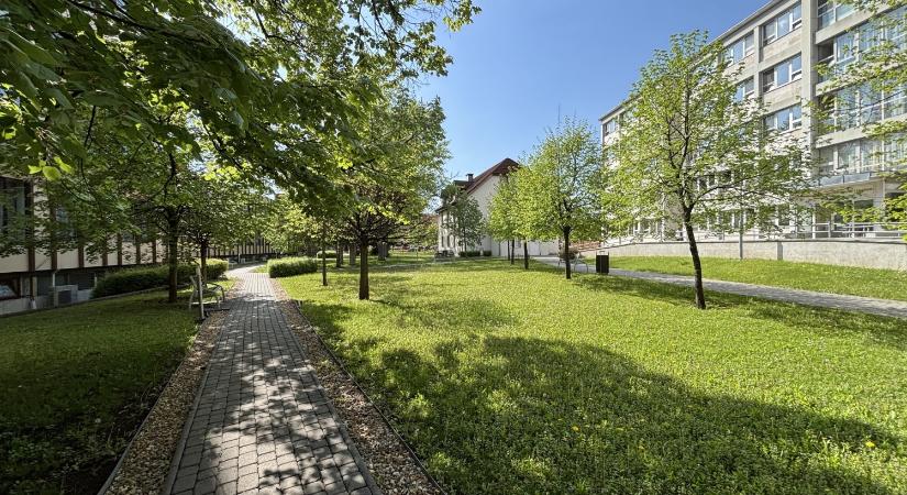 Jelentős klímafejlesztés az egri kórházban