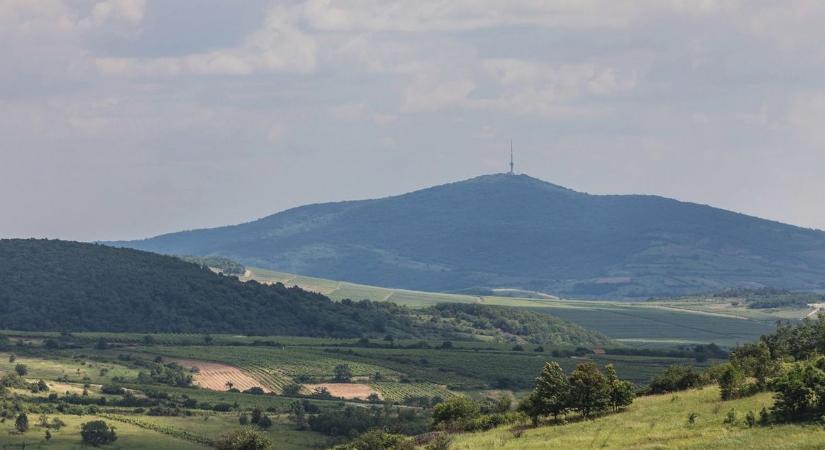 Kiszállt a hatóság a tokaji borvidékre, 18 helyszínen volt akció – itt van minden, amit találtak