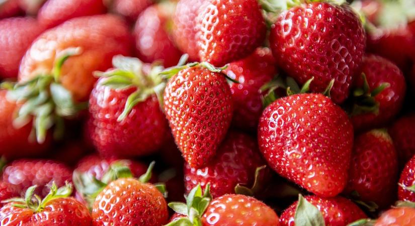 Így trükköznek az eperrel – országos ellenőrzés
