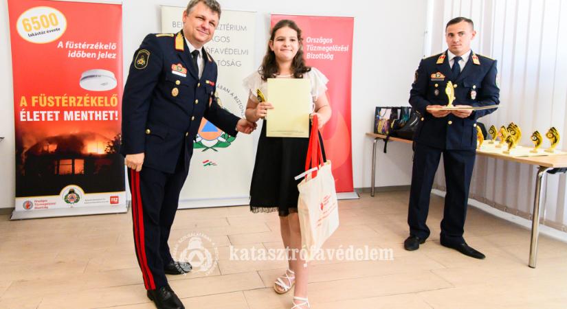 Vármegyei sikerek az Alkotói Pályázat országos fordulójában
