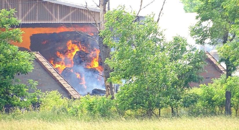 Hatalmas lángok csaptak fel: közel kétezer négyzetméteres tárolóban lángol a széna – Galériával - délmagyar