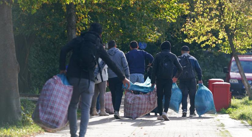 Az Eurostat szerint csökkent a menedékkérők száma az EU-ban - Karpat.in.ua