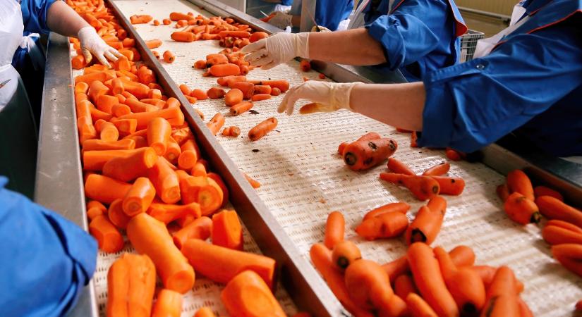 Tele az EU élelmiszerbotránnyal – a magyar agrárium alig érintett - Agroinform