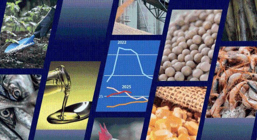 FAO: Új rekordokat érhet el a főbb mezőgazdasági élelmiszer-alapanyagok globális előállítása - Trademagazin