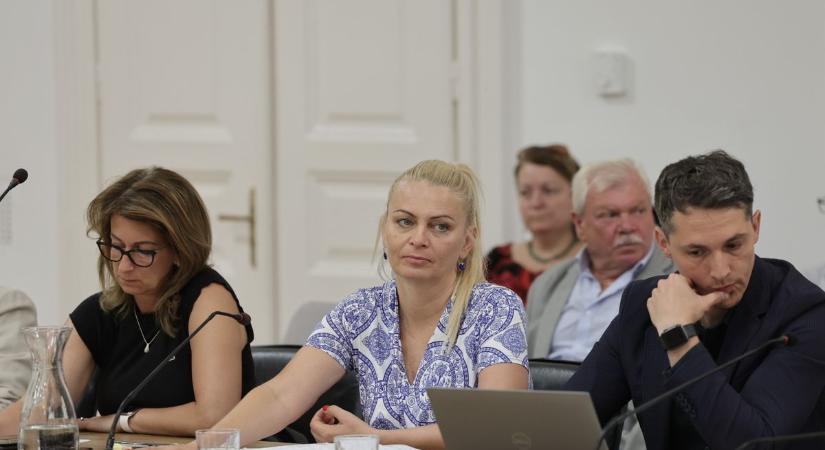 Rendkívüli ülés: fontos pályázatok beadásáról döntöttek a képviselők (képgalériával) - Teol