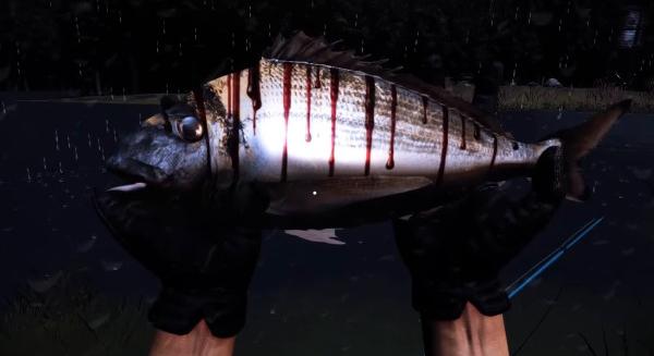 Out Fishing - Újabb horgászos játék a láthatáron, ezúttal horror körítéssel - Gamekapocs