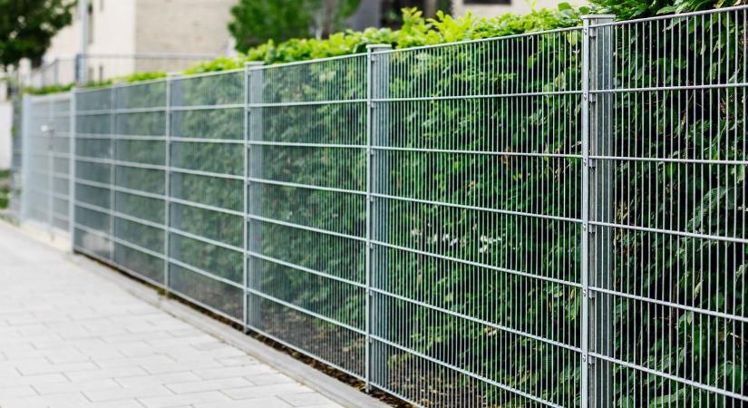 Valami mozgott az iskola kerítésének tövében, a diákok rögtön hívták a tanárukat, amikor látták, mi történik - Szoljon