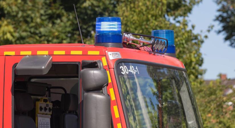 Nagy erőkkel vonultak a tűzoltók a kigyulladt fenyőerdőhöz - BAON