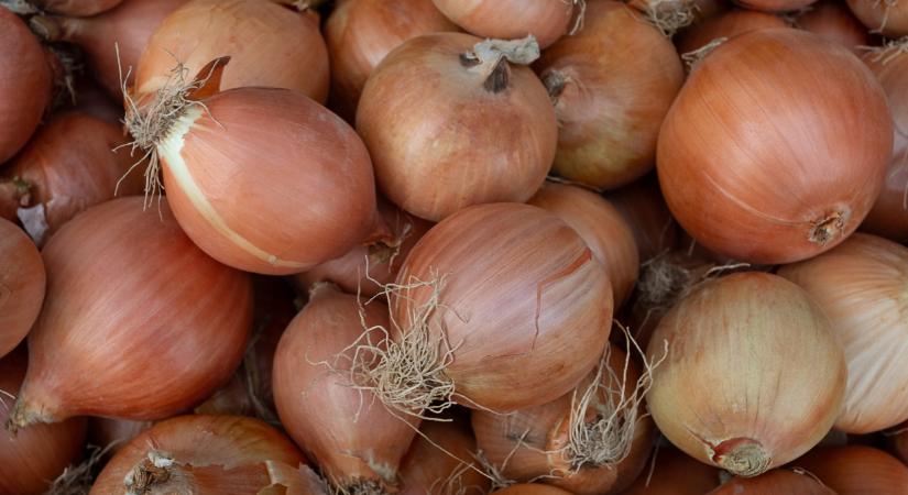 Üresek a raktárak, beütött a hiány ebből a zöldségből - Agrárszektor