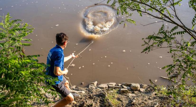 Parajdi katasztrófa: folyamatosan vizsgálják a Maros és a Tisza sótartalmát - Dehir