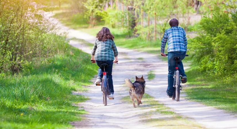 Világnap a négylábúakért - BAON