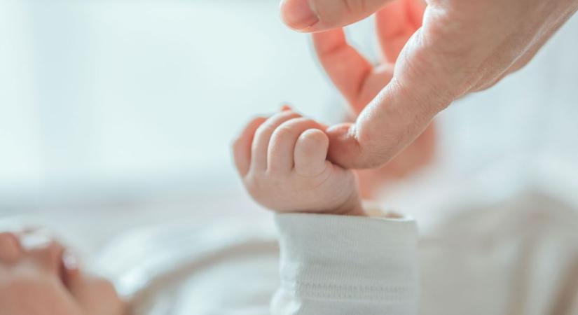 Kiskunhalasi anyakönyvi hírek - BAON