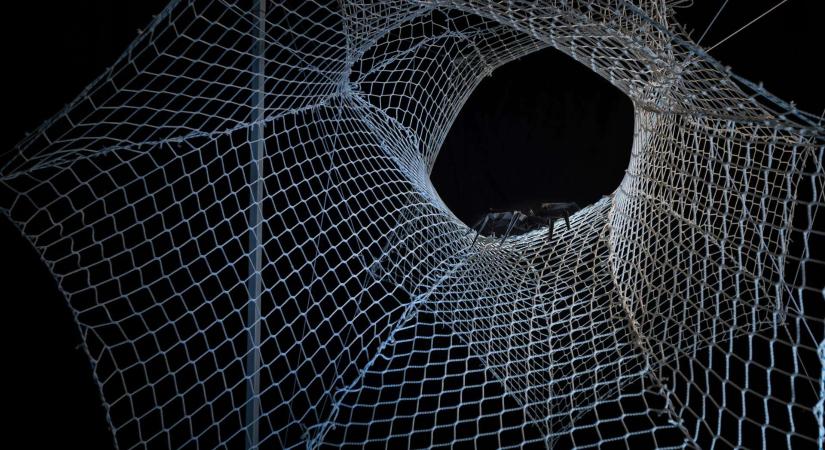 Parametrikus tervezés pókháló analógiára a Forma- és Szerkezet Specializáción - Építészfórum