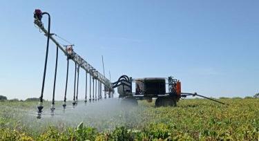 Oscar – a Dél-Alföldön nem győzné a locsolást, ha lenne hozzá víz - GépMax