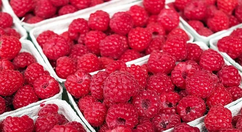 A meggy és a málna kétszer annyiba kerül, mint tavaly - Piac és Profit