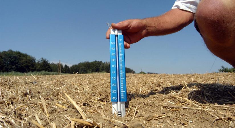 Kiderült, milyen nyár vár ránk idén: erre jó, ha mindenki felkészül - Agrárszektor