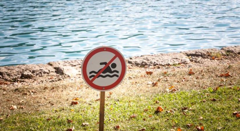 Betiltották a fürdőzést ennél a népszerű hazai strandnál: ellepték a baktériumok - Femina