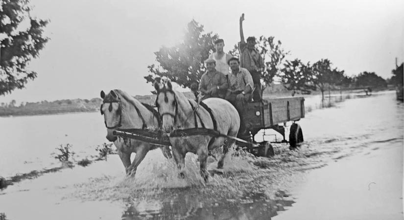 A nagy dunai árvíz: egy amatőr fotós szemén keresztül 1965-ből - Új Szó