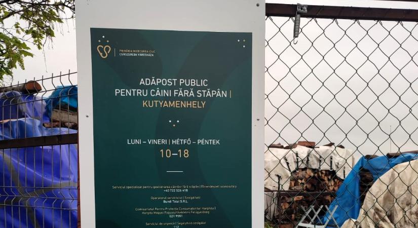 Elkezdte működését a csíkszeredai önkormányzat kutyamenhelye - Maszol