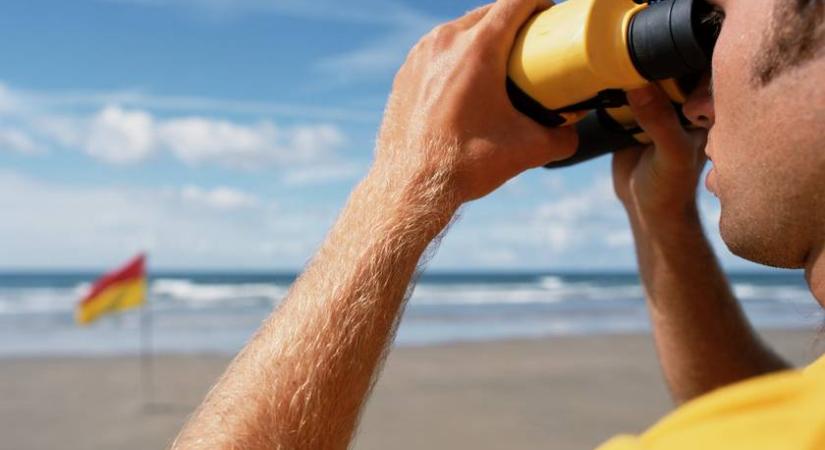 Ez a kutya a spanyol strandon ment embereket: már a profik között dolgozik - Femina