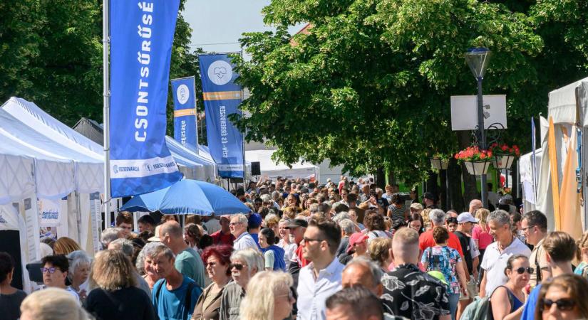 A Richter Egészségváros 63 millió forintot gyűjtött - Borsodhír