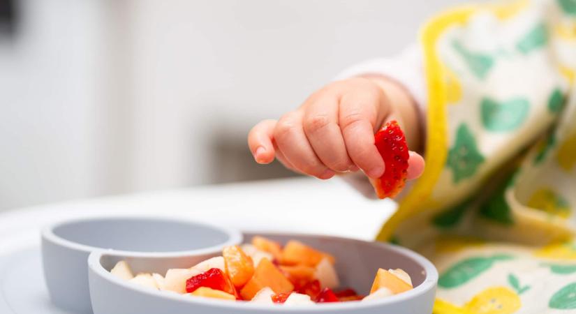 6 trükk, amivel a válogatós gyerekből lelkes kóstoló válhat - Bien