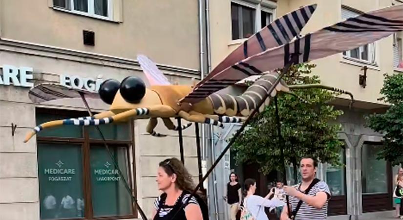 Elstartolt a Tiszavirág Fesztivál – Szolnok újra élettel telik meg a Tisza partján - Szolnoki Napló