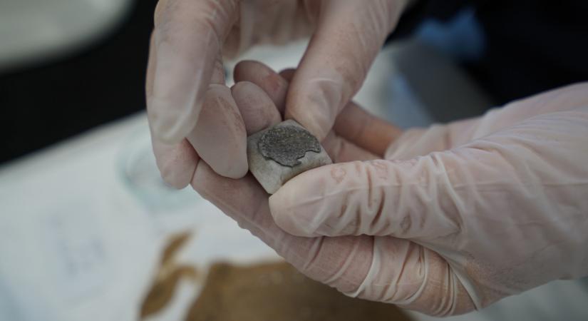 Kincsekkel teli viking temetőre bukkantak Dániában - Qubit