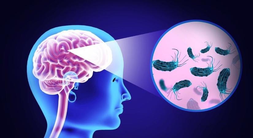 Sokkoló halált okoz az agyevő amőba, mindent összegyűjtöttünk róla - Veol