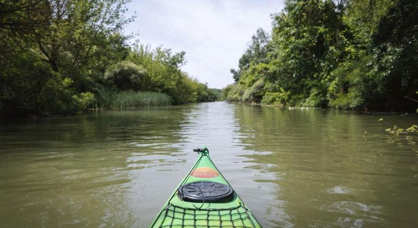 Maximumon tombolt a szerelem a Tisza-parton, amikor megjelentek a halőrök – ezt a sztorit nem felejtik el  videó - Heol
