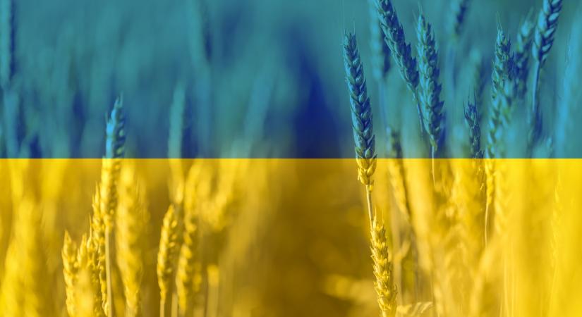 Az unió parlamentje meghosszabbítaná az ukrajnai gabona könnyített behozataláról szóló megállapodást - Infostart