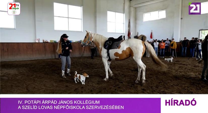IV. Potápi Árpád János Kollégium a Szelíd Lovas Népfőiskola szervezésében (videó) - Karpat.in.ua