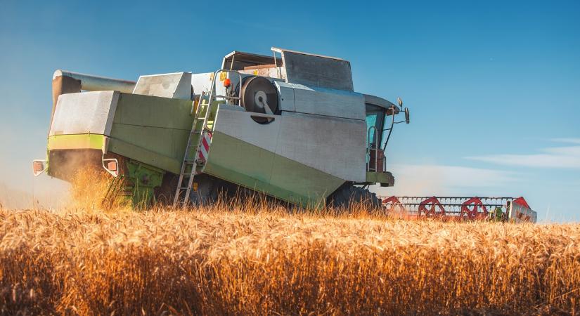 7 tonnás hozam is lehet – így indult az árpa aratása - Agroinform