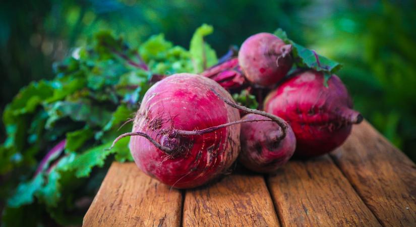 Júniusban is rekordszinten a cékla ára - Agrotrend
