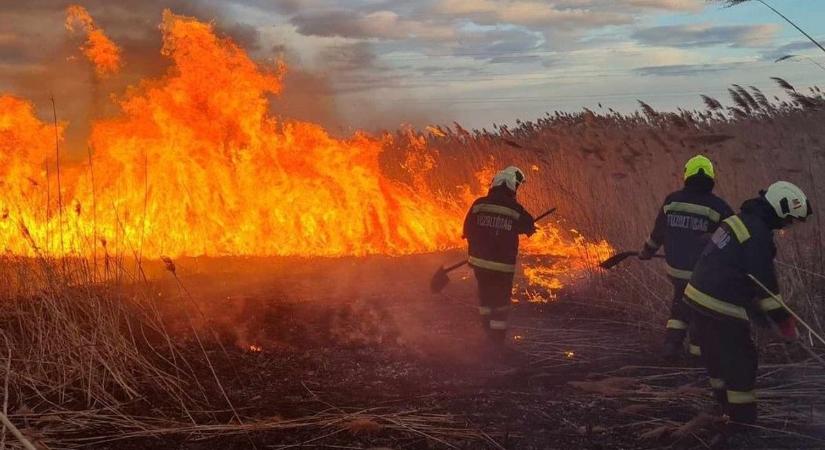 Háromszáz négyzetméteren lángolt az aljnövényzet és a bokrok - Teol