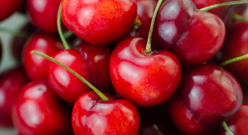 Te is vennél cseresznyét mostanában? Jó, ha tisztában vagy vele, mi derült ki róla - Agrárszektor