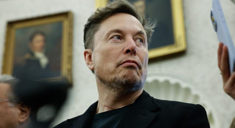 Elon Musk közösségi oldala beperelte New York államot - 24.hu