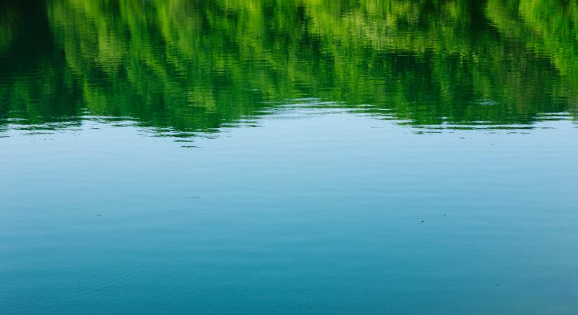 Mentőakció indul Aggteleken: óriási területet érint - Agrárszektor