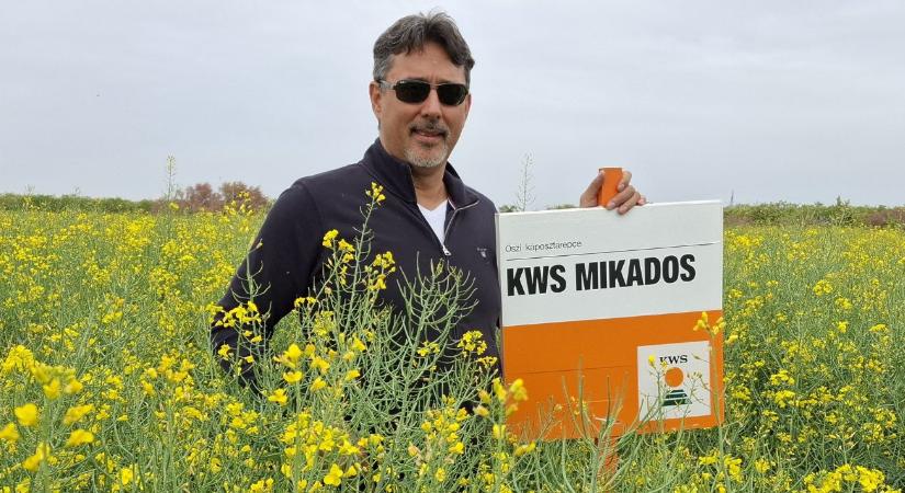 „Nem hangoskodnak, csak teszik a dolgukat” – Szécsi Zoltán a KWS repcehibridek mellett tette le a voksát - Agroinform