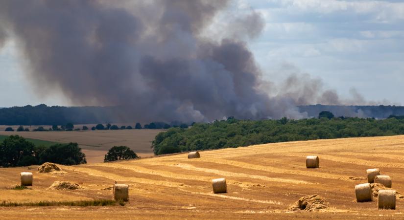 Tűz a farmon – így tanulta meg egy tini, mit jelent a felelősség - Agroinform