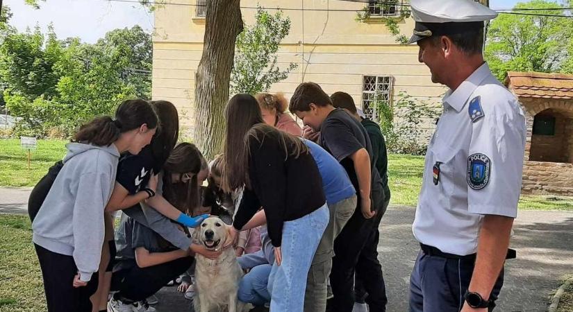 Döbbenet: még egy keresőkutya is segíti a nyomozást Komlón - Bama