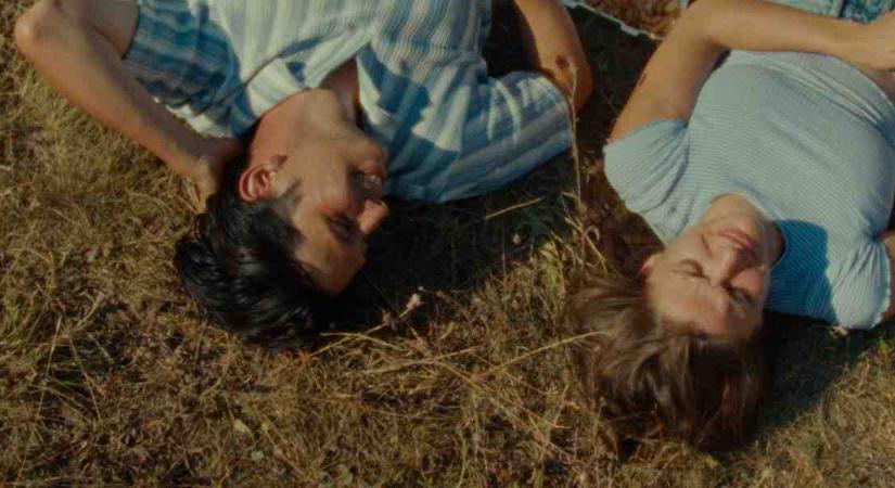 RÖVIDRE ZÁRT RÖGVALÓ XIII. Friss Hús Budapest Nemzetközi Rövidfilmfesztivál - Revizor