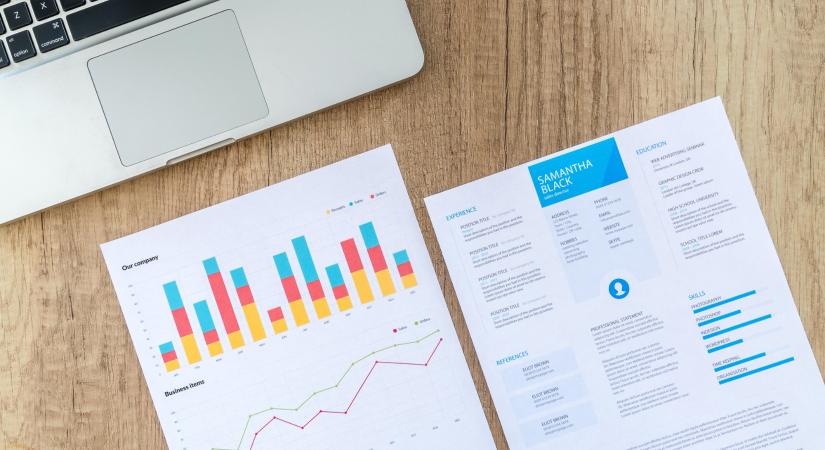Green és red flagek az álláskeresésben kutatás - ProfitLine