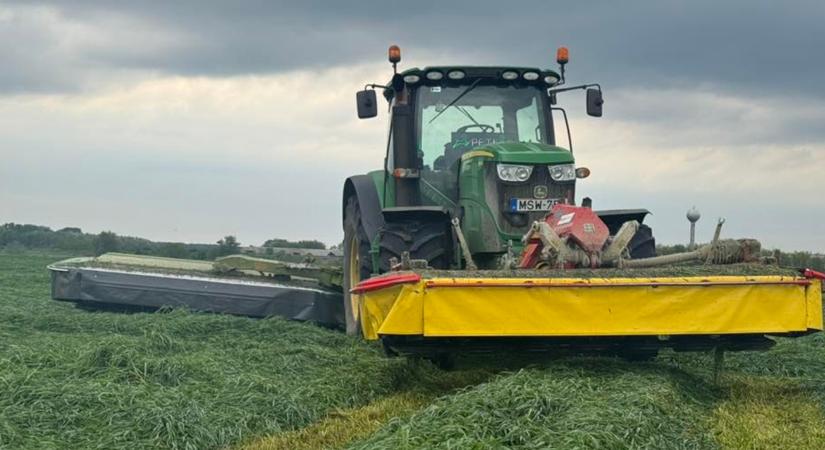 Nyakunkon egy hidegfront, de nem úgy, ahogy gondolod! - Agroinform