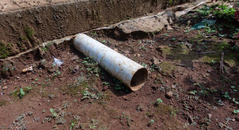 Borzasztó tragédia egy somogyi sertéstelepen: egy 29 éves férfi megmentette a kollégáját, de ő maga belehalt a mérgezésbe - Blikk
