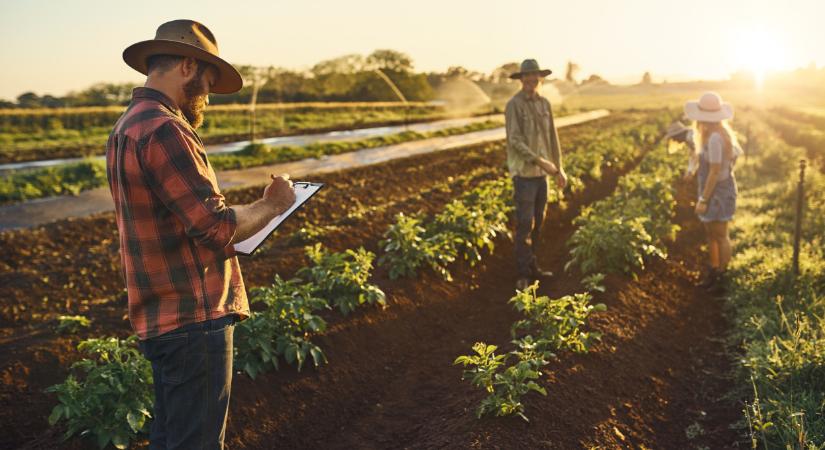 Csak így fogadhatnak most idénymunkást a gazdák: itt a tájékoztatás - Agrárszektor