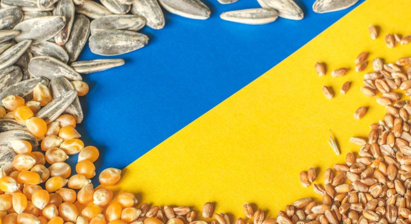 Tiltakozik az Agrárkamara - nem szeretnének olcsó ukrán gabonaimportot - Agrárszektor